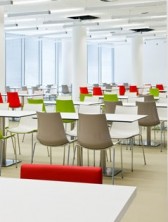 Zebra Bi Colour Lunchroom Chairs. 6 Colour Combinations